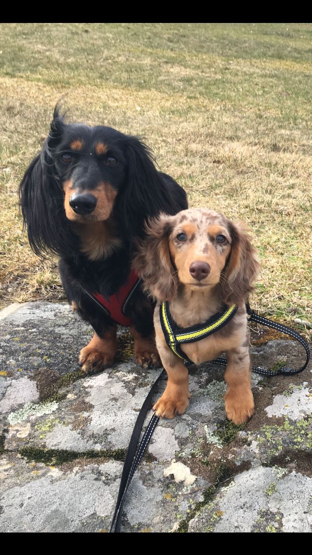 Nova 4 mnd (sammen med Nelly)
